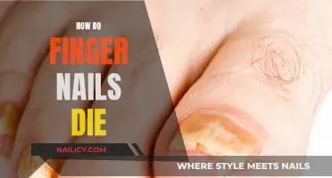 The Mystery of Fingernail Death: An Exploration