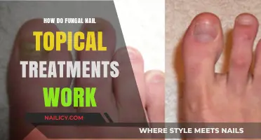 Understanding Fungal Nail Topical Treatments: Mechanism and Effectiveness Explained