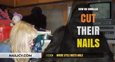 Gorillas' Nail Care: A Natural Trim