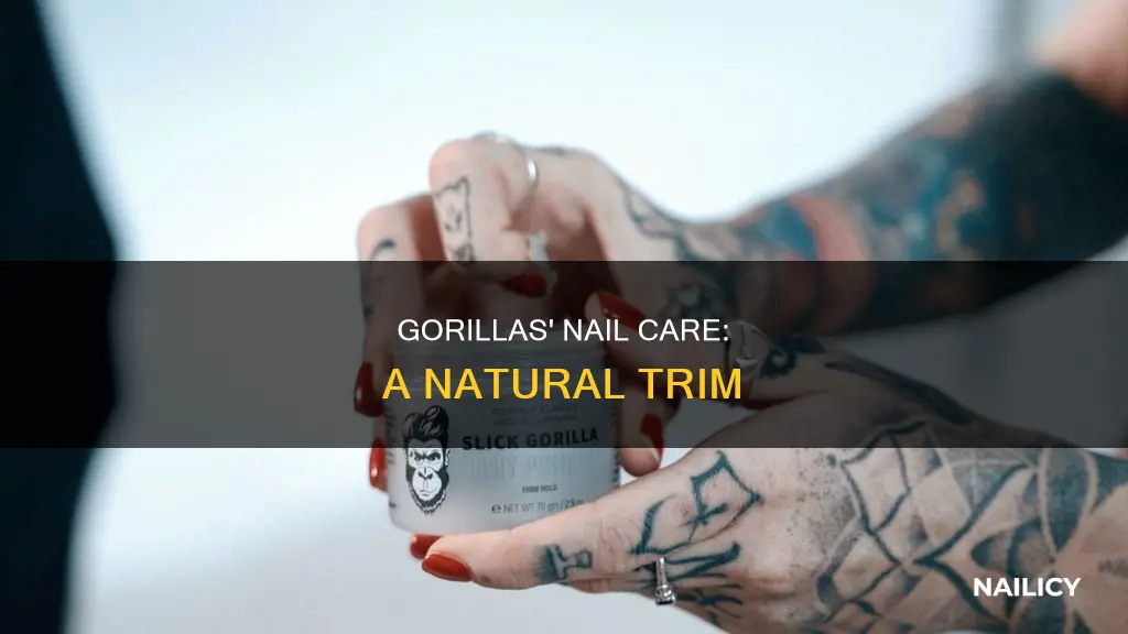 how do gorillas cut their nails
