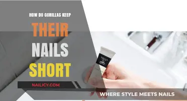 Gorilla Nail Care: Nature's Secrets to Short, Strong Claws