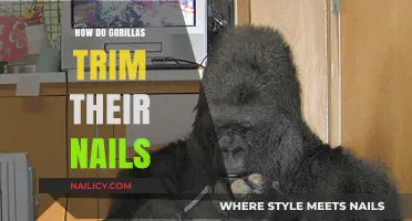 Gorillas' Natural Nail Trimming: Secrets Unveiled
