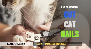 Trimming Cat Nails: A Groomer's Guide to Nail Clipping