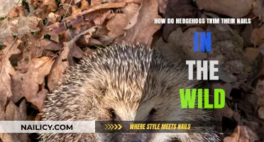 Hedgehogs' Wild Nail Care: A Natural Trim