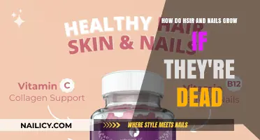The Mystery of Hair and Nail Growth Explained