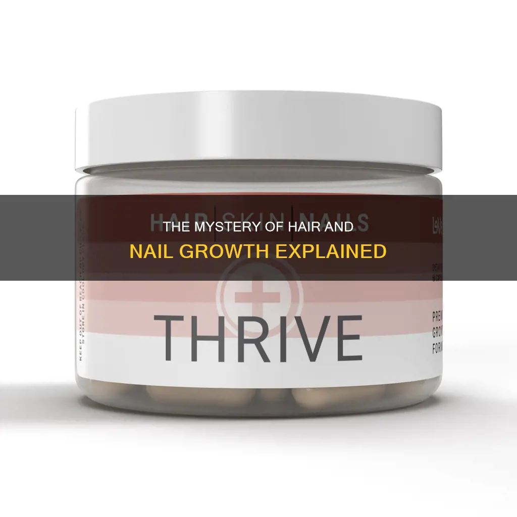 how do hsir and nails grow if they