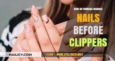 Ancient Nail Care: How Humans Trimmed Before Modern Clippers