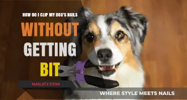 Safely Trimming Your Dog's Nails: A Bite-Free Guide