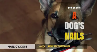 Trimming Your Dog's Nails: A Step-by-Step Guide