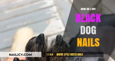 Trimming Black Dog Nails: A Step-by-Step Guide