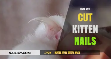 Trimming Your Kitten's Nails: A Step-by-Step Guide