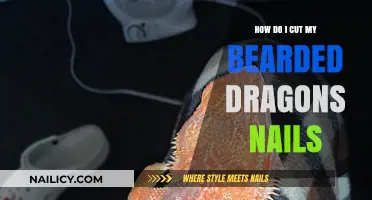 Trimming Your Bearded Dragon's Nails: A Step-by-Step Guide