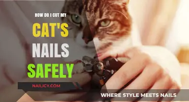 Trimming Your Cat's Nails: A Safe and Easy Guide