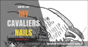 Cavalier Nails: A Step-by-Step Guide to Trimming