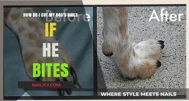 Calmly Trim Your Dog's Nails: Avoid Bites