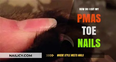 Trimming Your Pet's Nails: A Quick Guide
