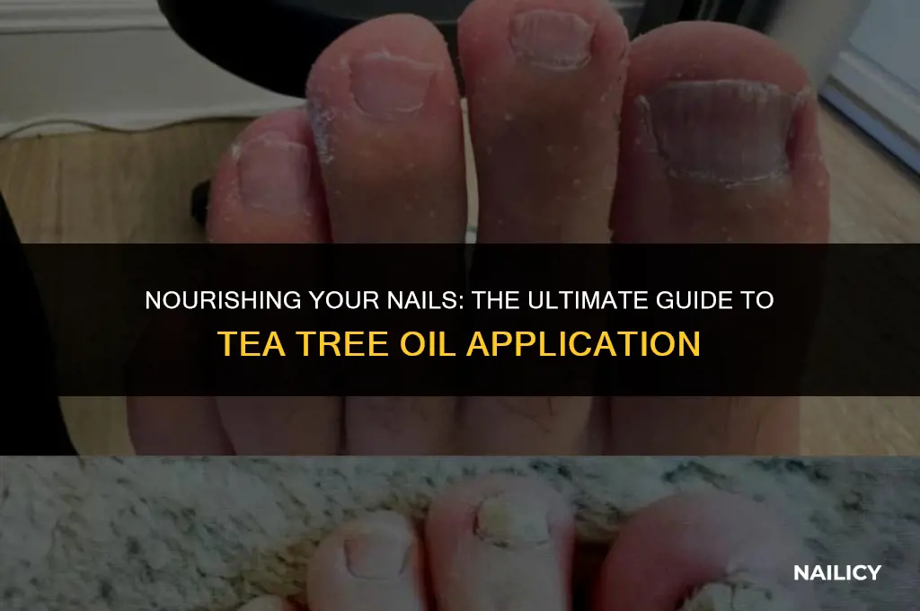 how do i get trea tree oil into nail bed