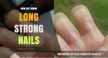 Strong, Long Nails: Achieving Your Dream Tips