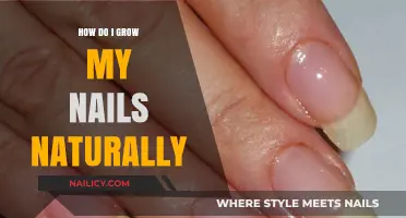 Strategies for Growing Healthy Nails Naturally