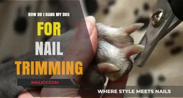 Trimming Your Dog's Nails: A Step-by-Step Guide