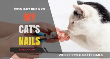 Trimming Cat Claws: When and Why to Cut Your Cat's Nails