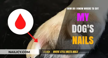 Trimming Dog Nails: A Guide to Safe Clipping