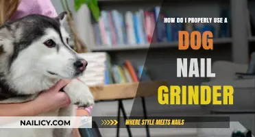 Mastering the Art of Dog Nail Grinding: A Step-by-Step Guide