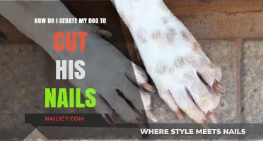 Calmly Clipping: Sedation for Safe Nail Trims