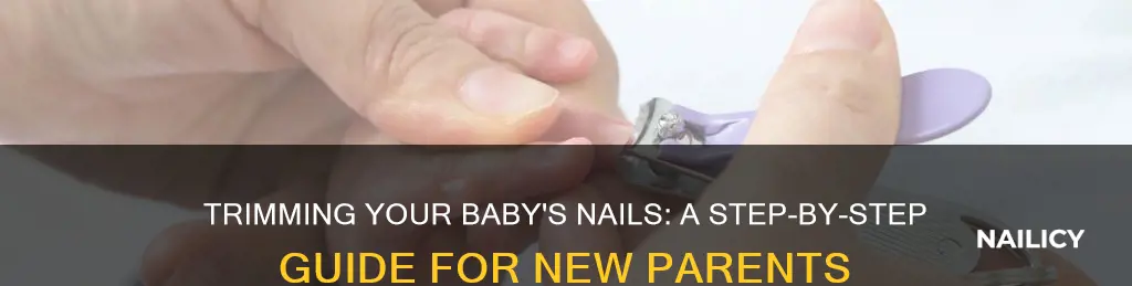 how do i trim my 5 month old babies nails