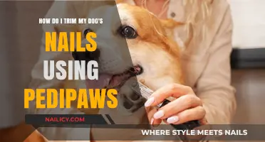 Easy Nail Trimming: A Pedipaws Guide for Happy Paws