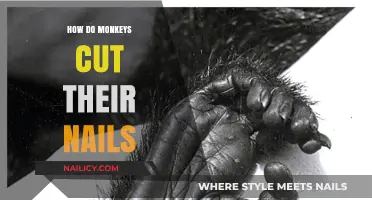 Monkeys' Manicure: Nature's Nail Trimming