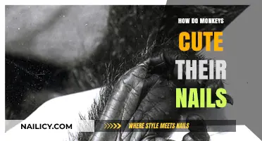 Monkeys' Manicures: Nature's Nail Care