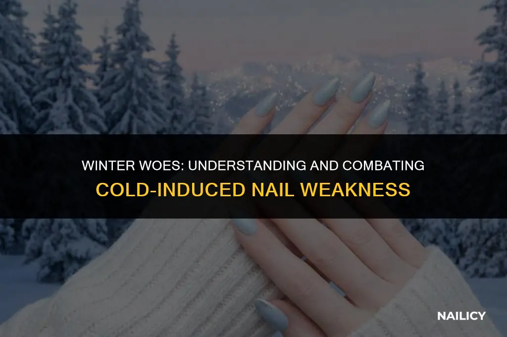 how do my nails get so weak in the cold