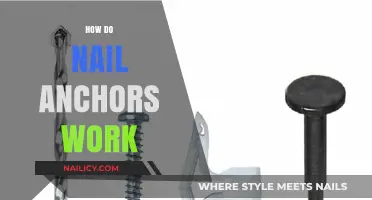 Understanding Nail Anchors: How They Securely Fasten Materials to Walls