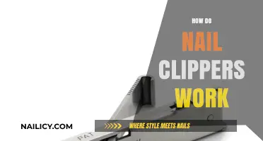 Understanding the Simple Mechanism Behind How Nail Clippers Work
