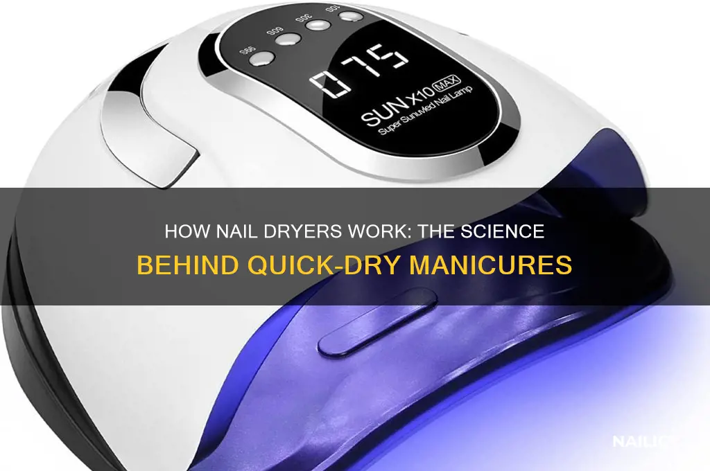 how do nail dryers work