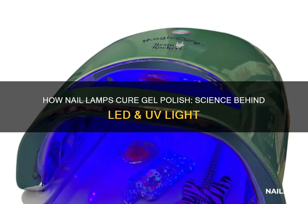 how do nail lamps work