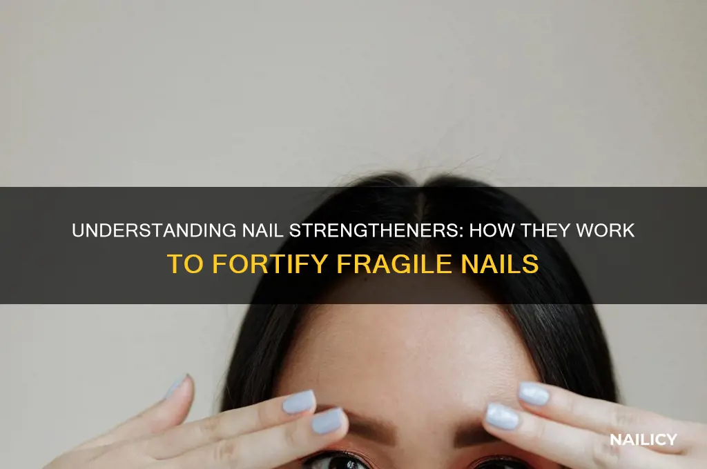 how do nail strengtheners work