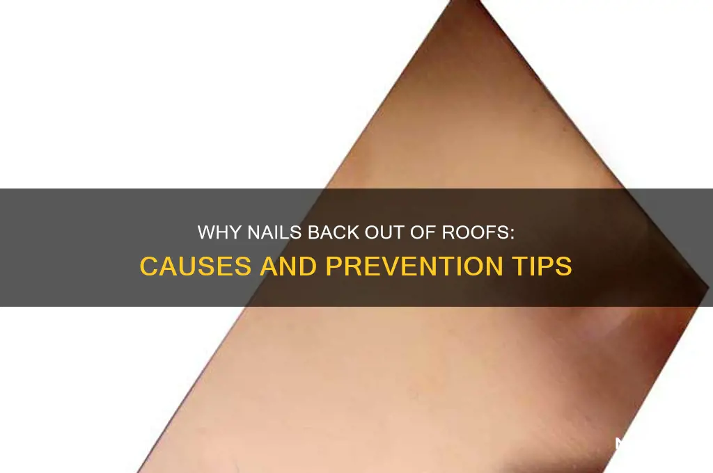 how do nails backs out of the roof