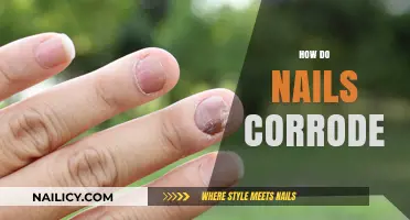 Understanding Nail Corrosion: Causes, Prevention, and Maintenance Tips