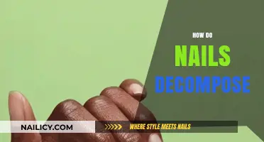 Nail Decomposition: Understanding the Breakdown Process in Nature