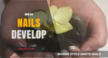 Understanding Nail Growth: How Nails Develop and Stay Healthy
