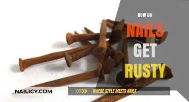 Unveiling the Mystery: Why Nails Succumb to Rust