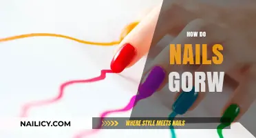 Understanding Nail Growth: How Nails Develop and Regenerate Naturally