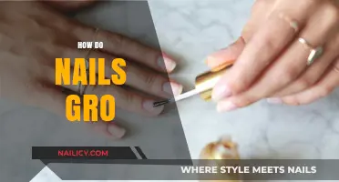 Understanding Nail Growth: Factors, Stages, and Healthy Nail Care Tips