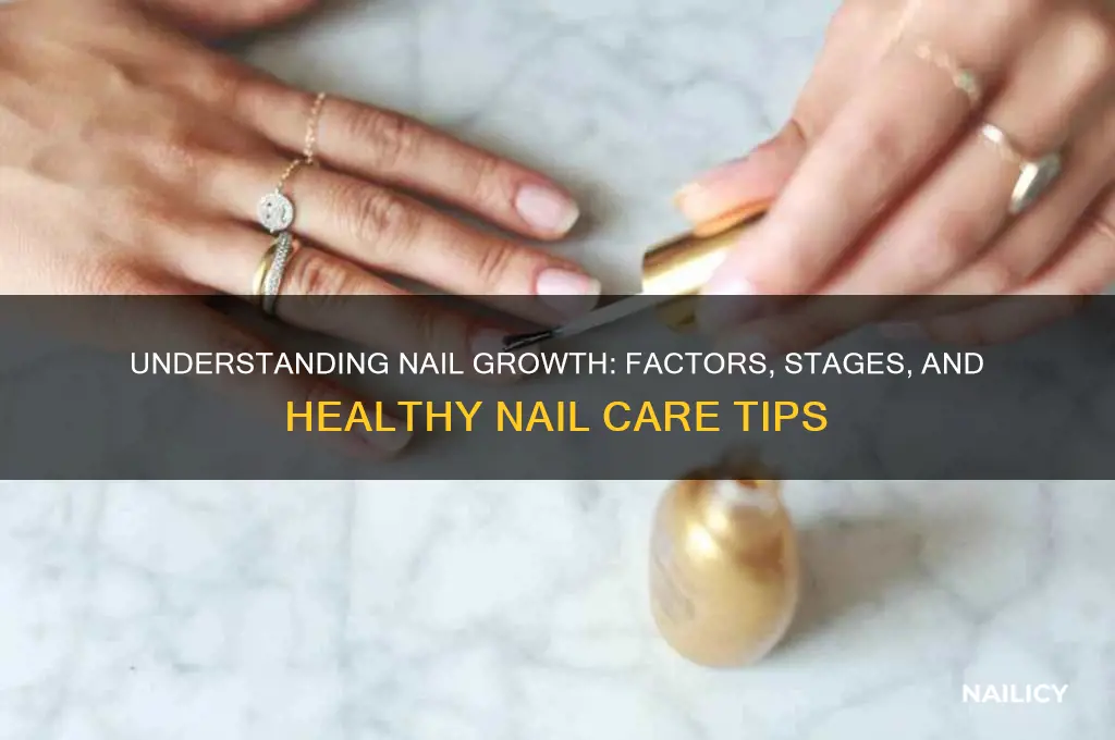 how do nails gro