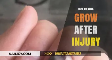 Nail Growth: Healing and Recovery After Injury