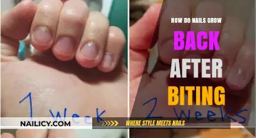 Regrowing Nails: Biting Recovery and Healthy Growth