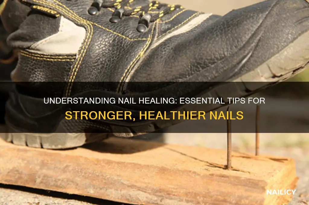how do nails heal