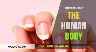 Nails' Surprising Roles: Protecting, Sensing, and Supporting Human Health